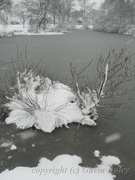 Snow, Blackheath P1070110.JPG